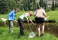 There are three people standing in tall grass with some white wildflowers in a forested area looking over at a small pond.  The person on the right is holding a notepad and pen, the other two people to the left are holding nets with long handles.  The person in the center with a net is leaned over the furthest and has one hand pointing at the pond. The image source said he spotted a frog, although the he frog is not visible in this image.