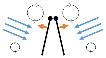 Clap 2: leading edges touch, wing rotates around leading edge, vortices form