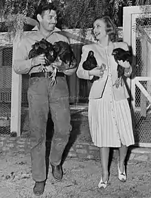 A happy couple laughing and walking on their ranch as both carry two chickens in their arms.