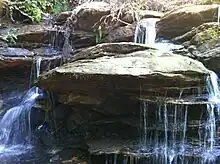 A view of Waldrop Stone Falls.