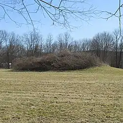 Edgington Mound