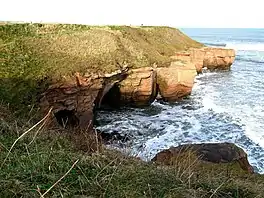 Cliffs from the Berwickshire Coastal Path