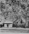 Early photograph of the Clifton Cliff Jail in Arizona. Notice the barred cell windows in the rock face.