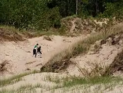 Indiana Dunes State Park