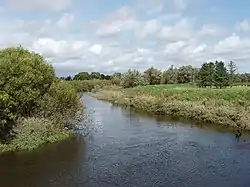 The River Clodiagh near Portlaw