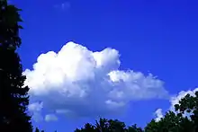 Bright blue sky with white clouds