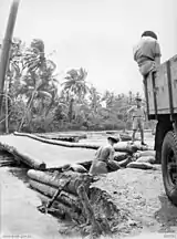 Cyril Clowes with new bridge at Milne Bay