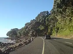 The road northwards from Thames. Somewhere south of Te Mata.