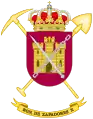 Coat of Arms of the 10th Engineer Battalion(BZAP-X)