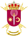 Coat of Arms of the 10th Signals Company(CIATRANS-10)