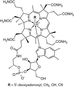 Vitamin B12 and related cofactors are organocobalt compounds.