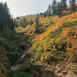 Upper Cold Canyon in Ogden Valley, Utah