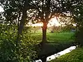 The Colne Valley Golf Course at Sunset