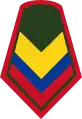 Sargento segundo(Colombian National Army)