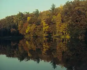 Trees in autumn colors reflected in a smooth lake