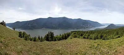 A river gorge, with a forest in the foreground