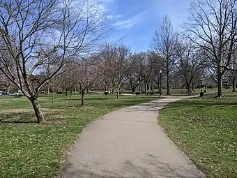 Winding pathway amid park space