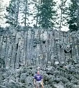 Columinar Jointing in Yellowstone National Park.