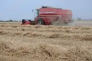 Massey Ferguson Model 38 Combine Harvester in UK