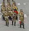 The honor guard company during the 2007 Bastille Day Parade.