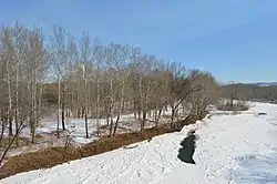 Along the Conemaugh River south of Blairsville