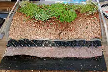 Model of the components in a green roof system