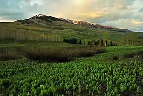 Mountains in spring along the Copper Lake Trail near Crested Butte.