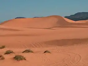 Coral Pink Sand Dunes State Park