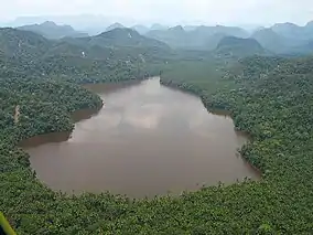 Laguna del Mundo Perdido, Huimbayoc District, Cordillera Azul National Park