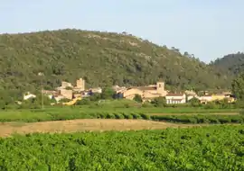 A general view of the village