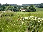 Near Wauldby Manor farm, northern parish (2009)