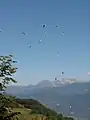 Much paragliding in the sky