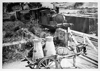 Courtmacsherry train with 2-6-0T locomotive Argadeen entering Timoleague Station in the 1910s