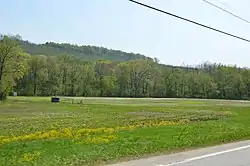 Cowanshannock Creek floodplain