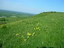 Firle Escarpment