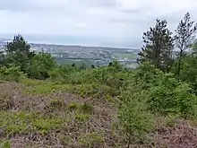 Iron Age enclosure within Briton Ferry Woods