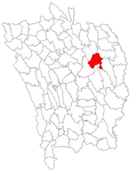 Location in Vaslui County