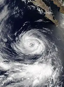 A satellite image of Tropical Storm Cristina at peak intensity