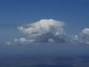 A cap (pileus) atop a congestus