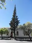 This cypress tree is the only one remaining of about 25 similar trees that were planted in the original Dutch Reformed cemetery in 1834.
Type of site: Tree This cypress tree is the only one remaining of about 25 similar trees that were planted in the original Dutch Reformed cemetery in 1834.