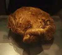 Hair of bog body Dätgen Man (Germany)