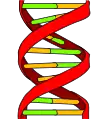 DNA label