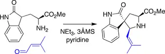 Danishfesky spirotryprostatin B synthesis