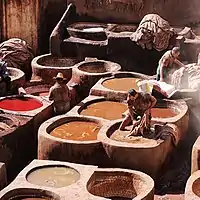 Tanneries of Dar Dbagh