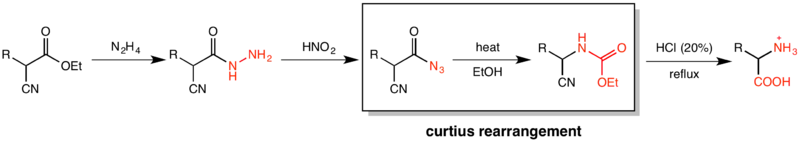 Scheme of the Darapsky amino acid synthesis