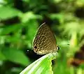 At Kozhikode, Kerala, India