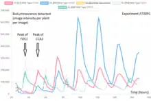 Graph showing two pairs of rhythmic timeseries, peaking at alternating times of day, over six, 24-hour cycles.