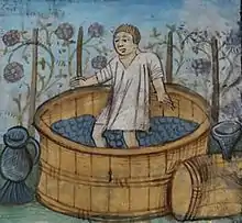 Image 24In ancient times, berries were crushed by foot in a barrel or pit. (from Winemaking)