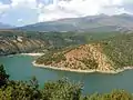 Sparse growth on the shore of the lake