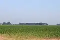 Farmland from Rouget Rd at Stearns Hwy.